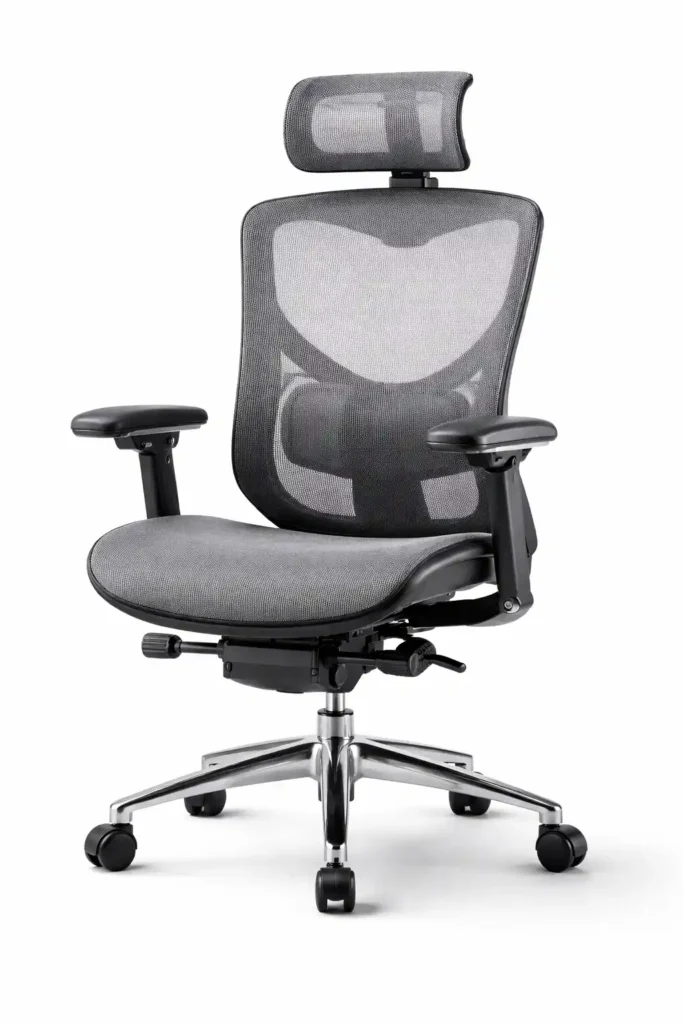 GABRYLLY Ergonomic Office Chair