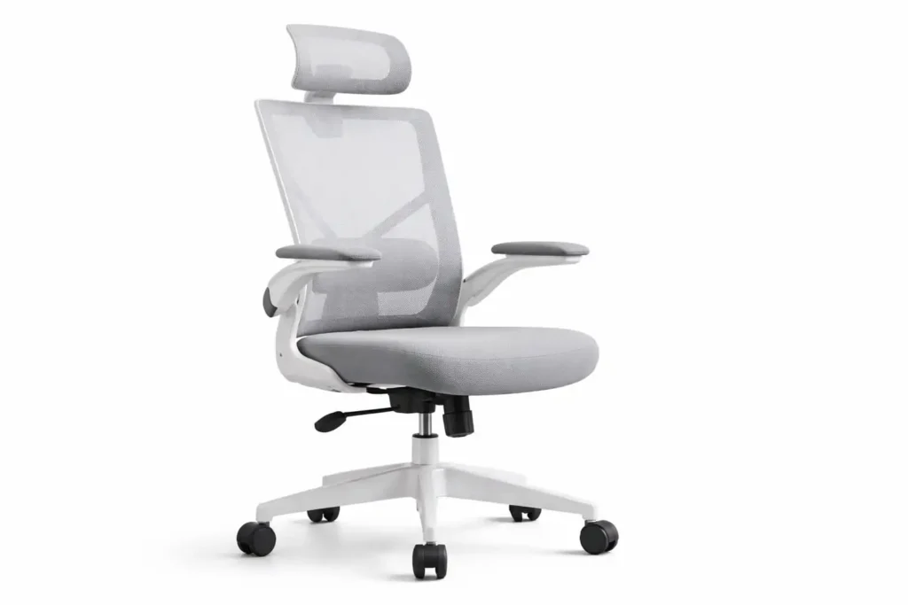 Best Ergonomic Chair for Lower Back Pain