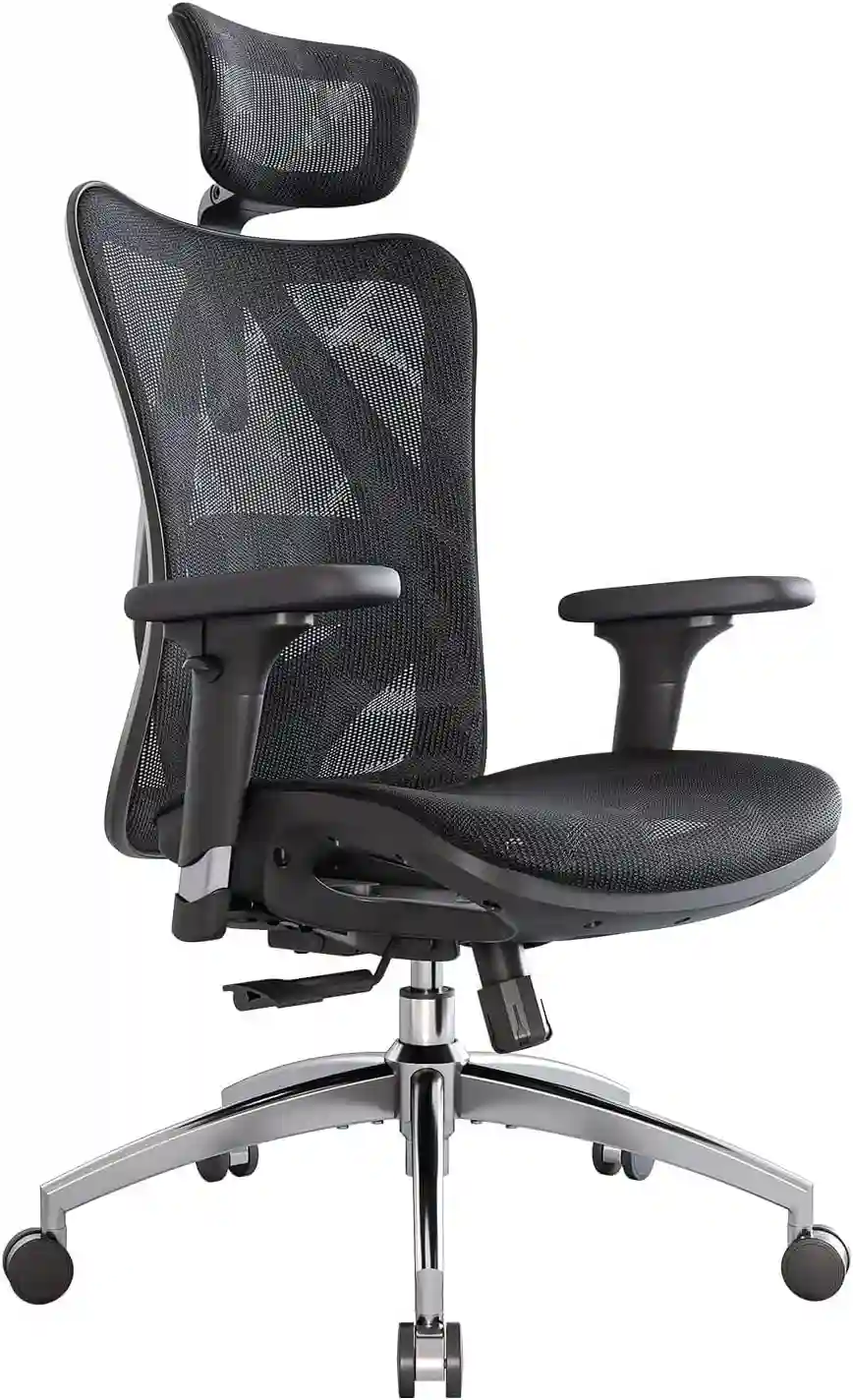 Best Budget Ergonomic Chair