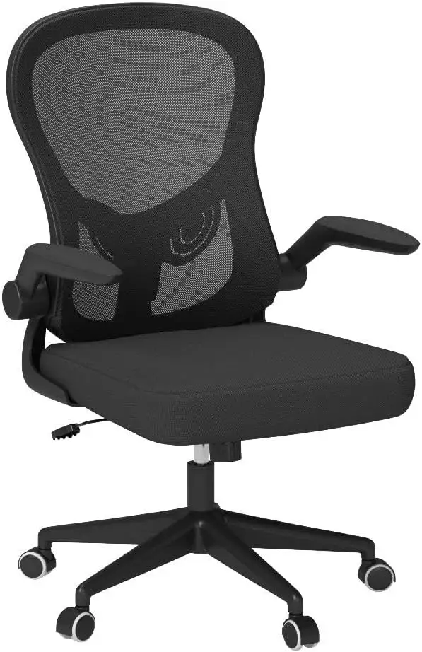 Hbada Executive Chair