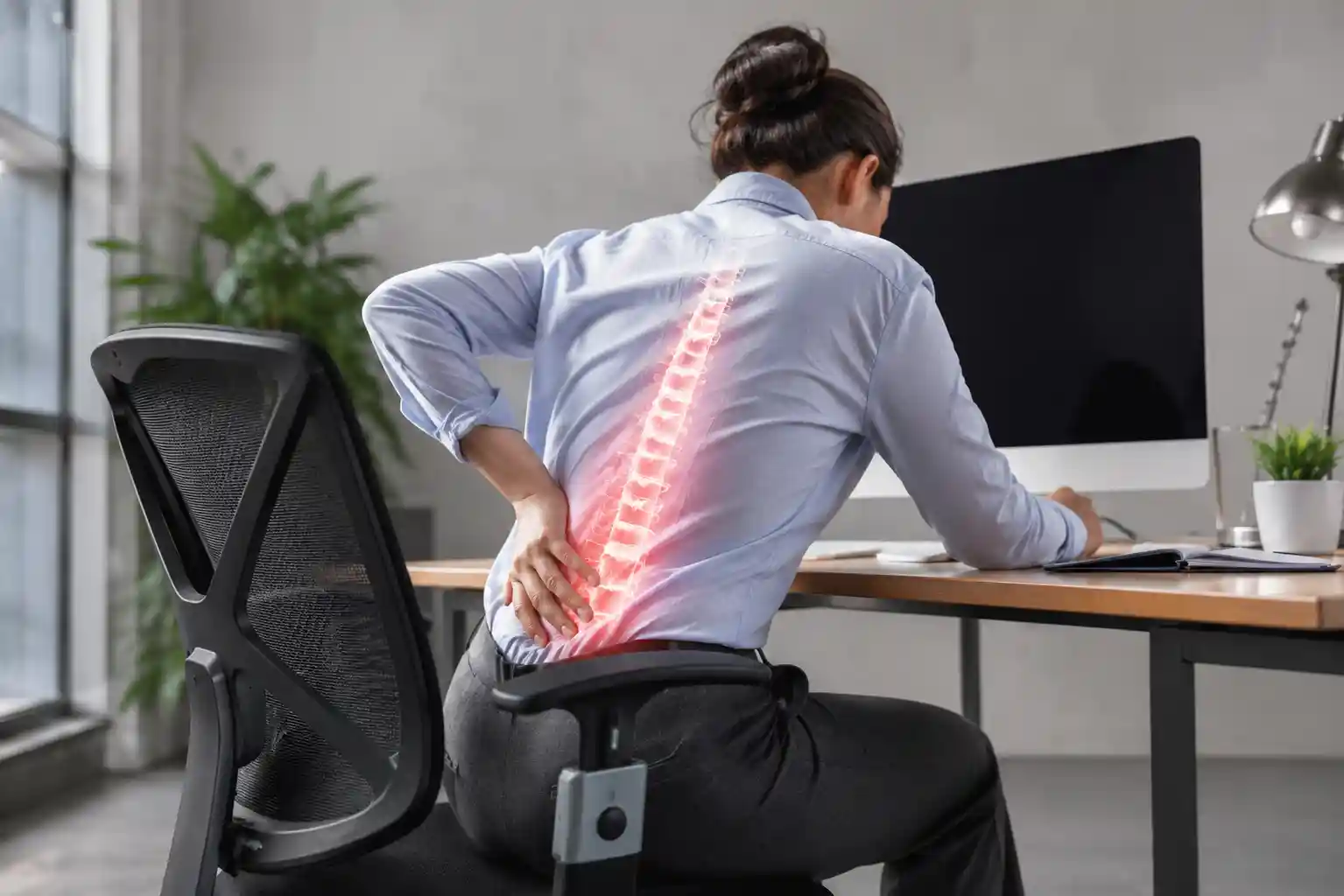 Best Office Chair for Scoliosis
